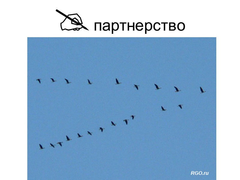  партнерство